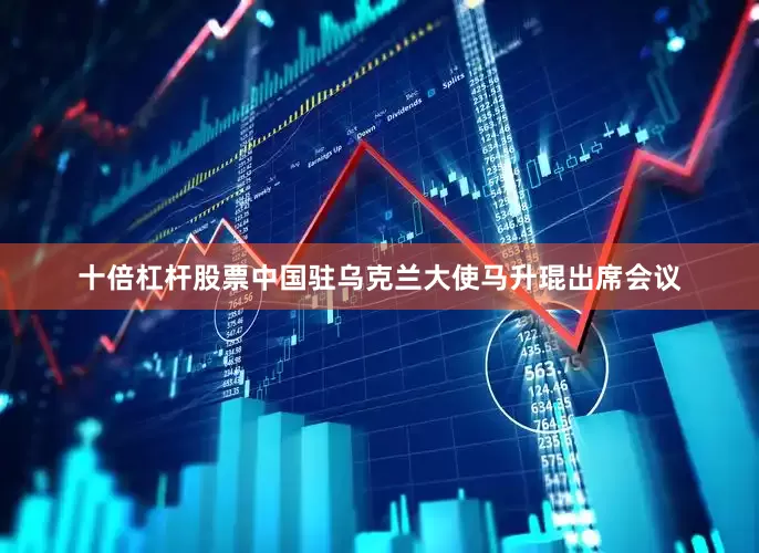十倍杠杆股票中国驻乌克兰大使马升琨出席会议